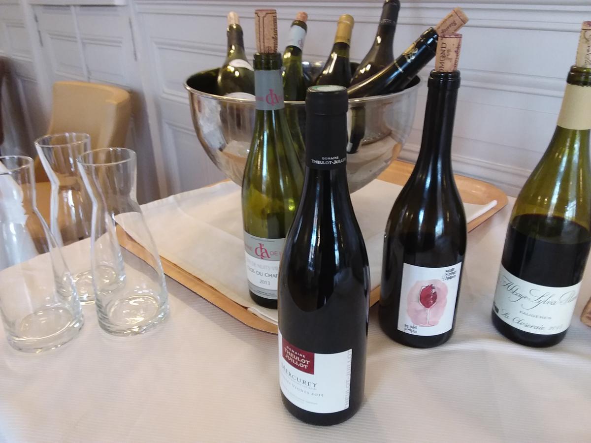 Hostellerie D'Heloise Logis 클뤼니 외부 사진